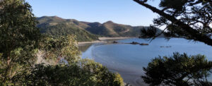 Cape Hillsborough walking trails lookout queensland australia