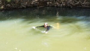 Swimming in Cardwell Spa Pool Tropical North Queensland