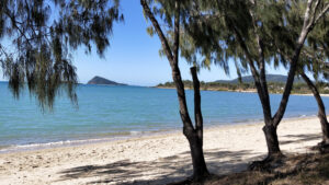 dingo beach hideaway bay queensland australia