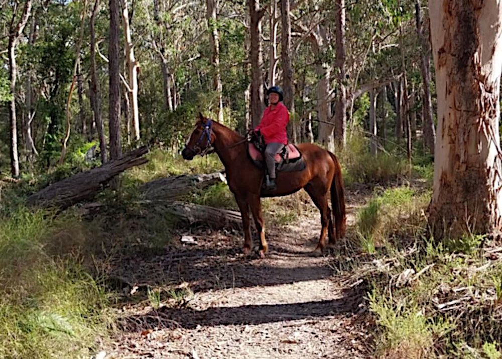 womens confidence empowerment women riding horse